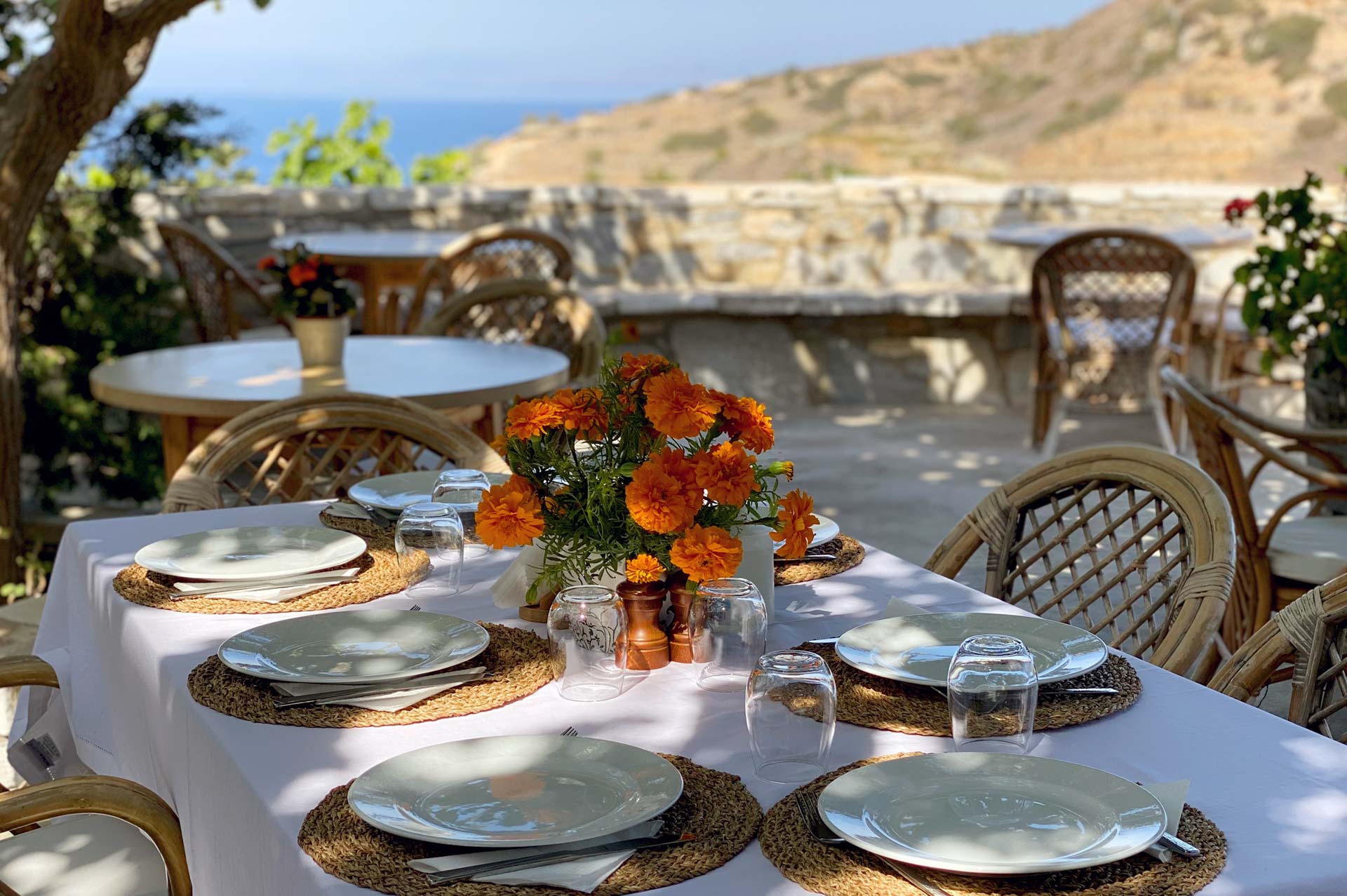 Naxian Family Hospitality & Back-to-Nature Evening