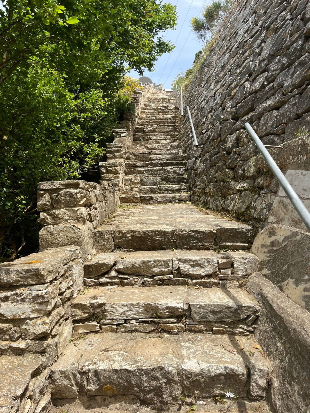 Photo 02